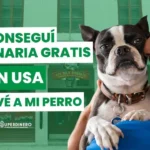 ayuda veterinaria gratis para tu mascota