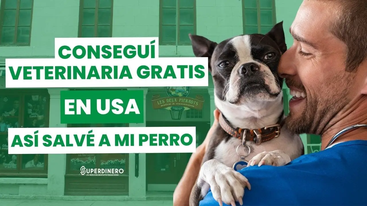 ayuda veterinaria gratis para tu mascota